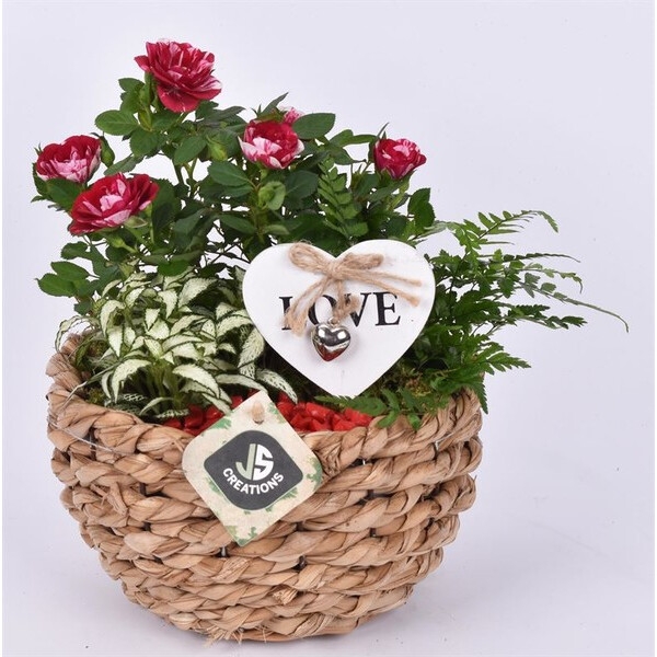 Cupid's Rose Basket