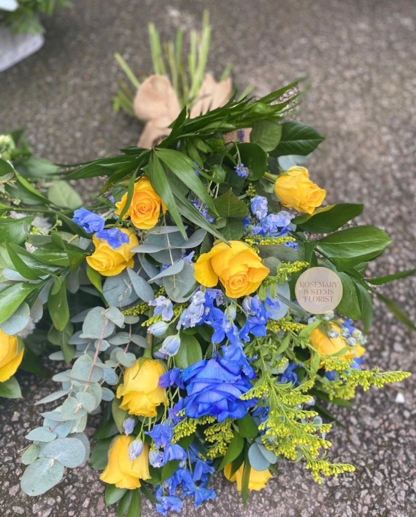 Blue and yellow sheath