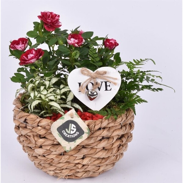 Cupid's Rose Basket