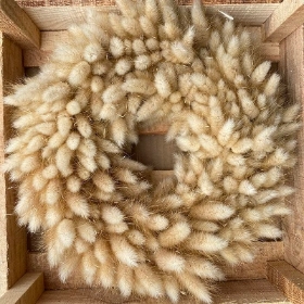 Dried bunny tails wreath